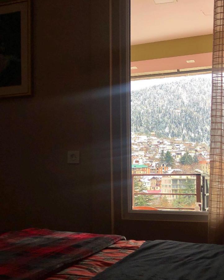 Mereti Ξενοδοχείο Borjomi Εξωτερικό φωτογραφία