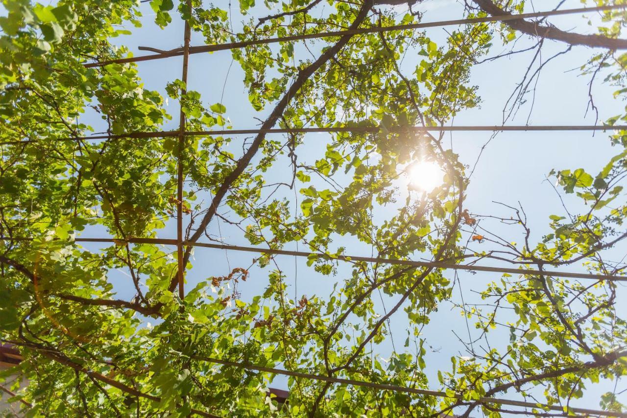 Mereti Ξενοδοχείο Borjomi Εξωτερικό φωτογραφία