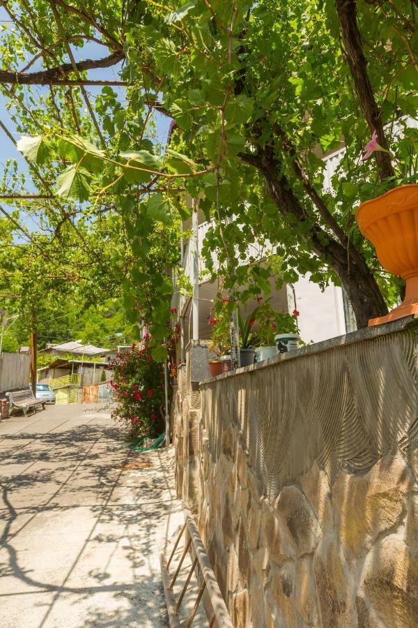 Mereti Ξενοδοχείο Borjomi Εξωτερικό φωτογραφία