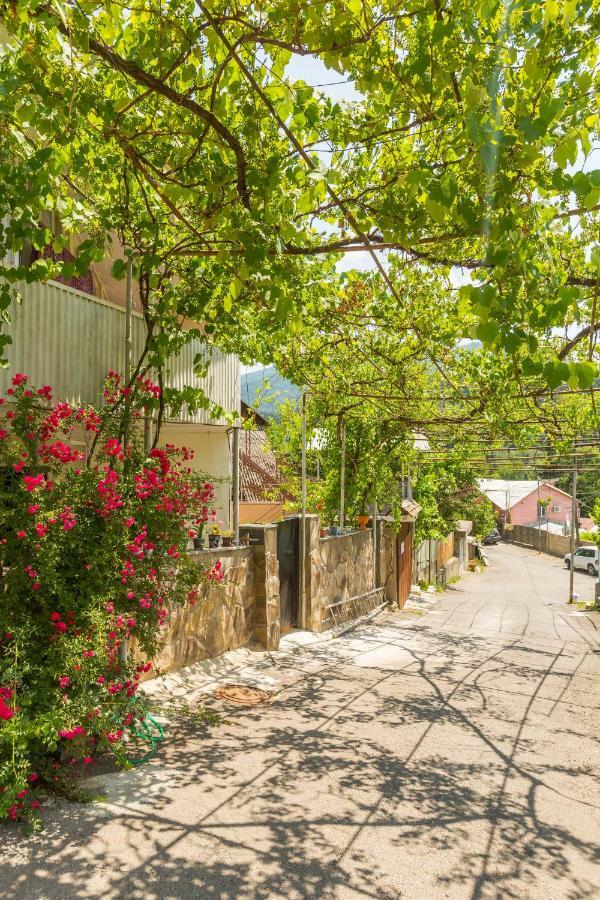 Mereti Ξενοδοχείο Borjomi Εξωτερικό φωτογραφία